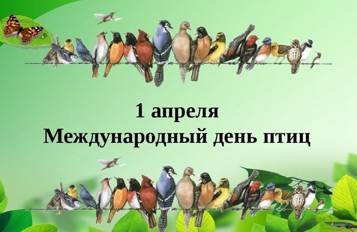 Международный день птиц.