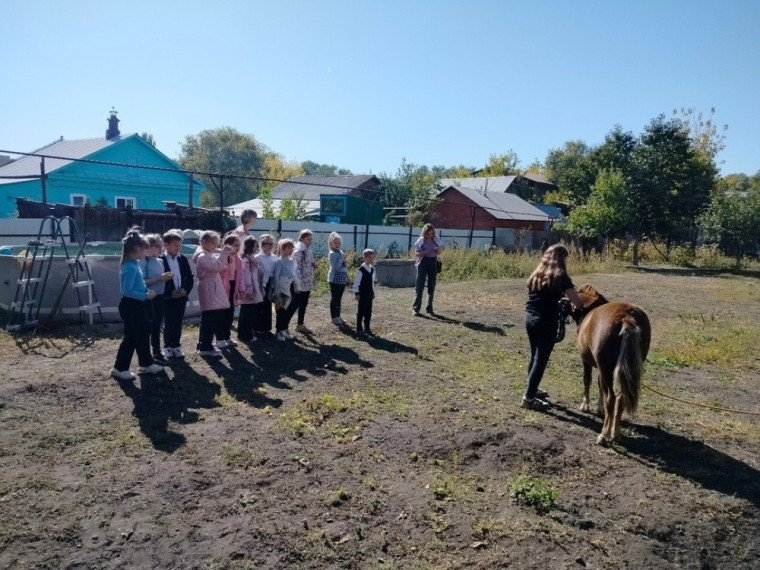 02.10.2024 год - Эколята 2 «Б» класса с родителями посетили конный клуб «Мустанг».
